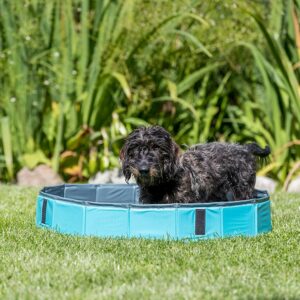Trixie Dog Pool- kutya medence XS (70x12cm) #39480