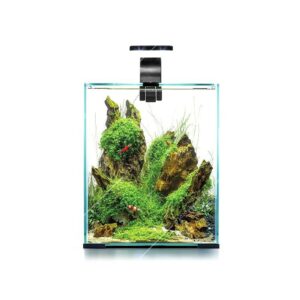 AquaEl Shrimp Szett Fekete - 30l