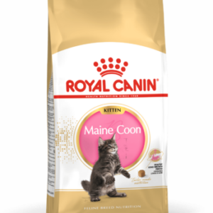 Royal Canin Maine Coon Kitten 400g - Maine Coon kölyök macska száraz táp