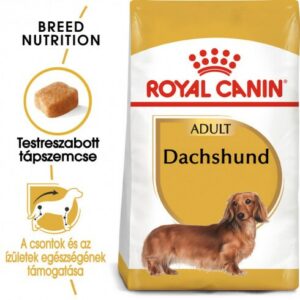 Royal Canin Dachshund Adult 500g - Tacskó felnőtt kutya száraz táp